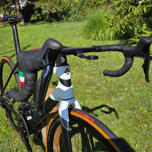 Colnago C68 karbon tárcsafékes országúti kerékpár